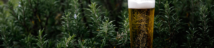 Spruce Trees and Beer Banner